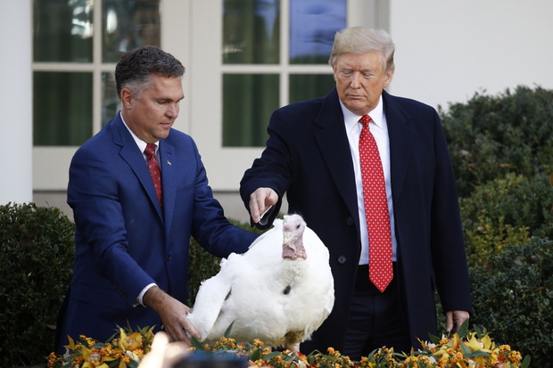 Associated Press 2019-11-26