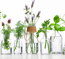 aroma2