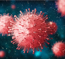 Wirus, epidemia