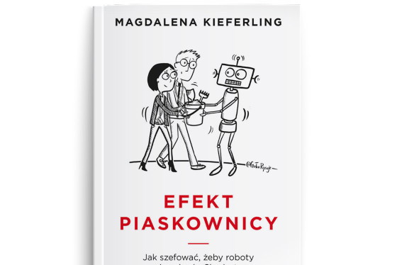 Książka Efekt Piaskownicy