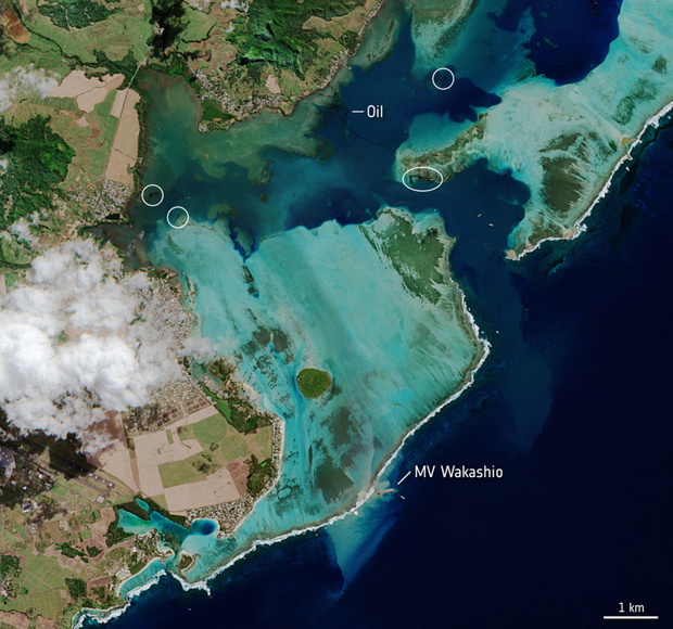 Wyciek ropy z tankowca u wybrze?y Mauritiusu