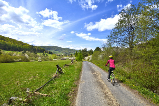 Woman and bicycle