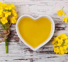 AdobeStock_115338385