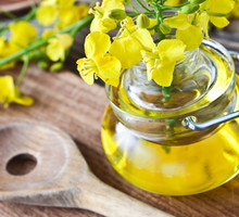 AdobeStock_41292349