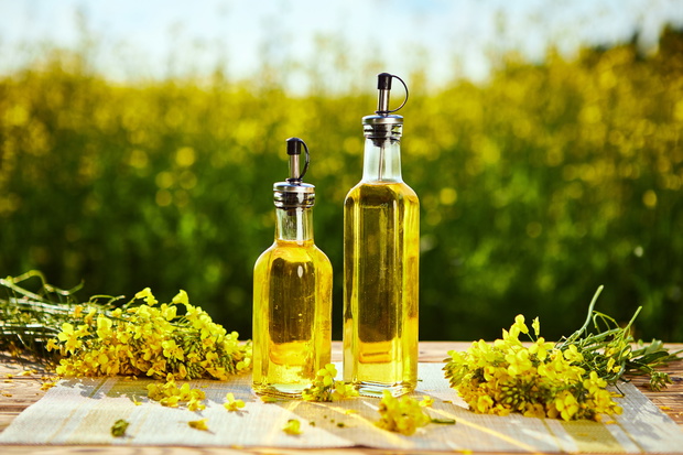 Rapeseed oil bottles (canola) on background rape field