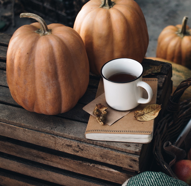Fall styled composition. Autumn breakfast still life. Scandinavian hygge concept. Morning concept. Cozy autumn scene with pumpkins and apples. Flat lay. Home decor. Thanksgiving and Halloween concept.