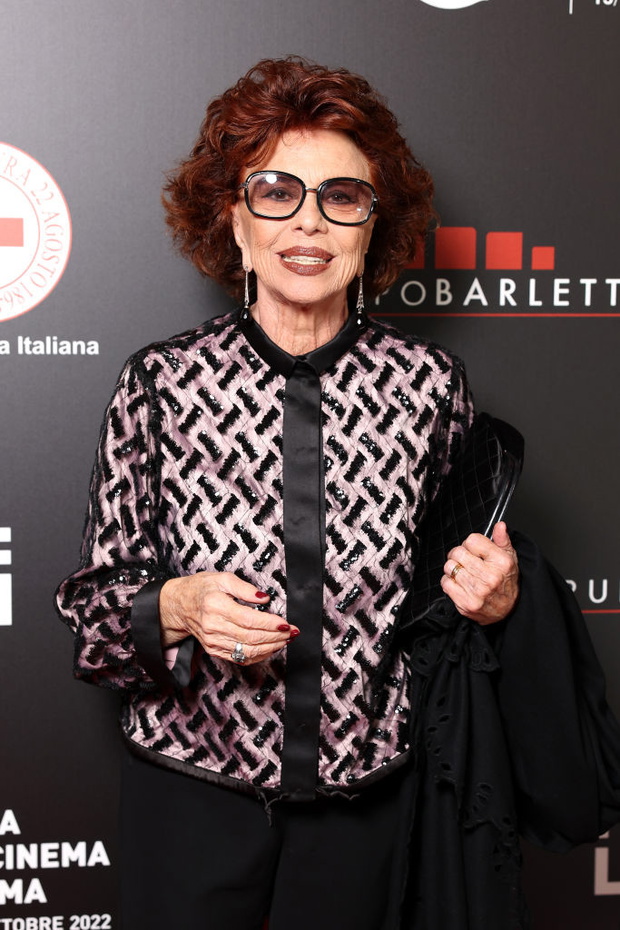 Red Cross Charity Event - Photocall - The 17th Rome Film Festival