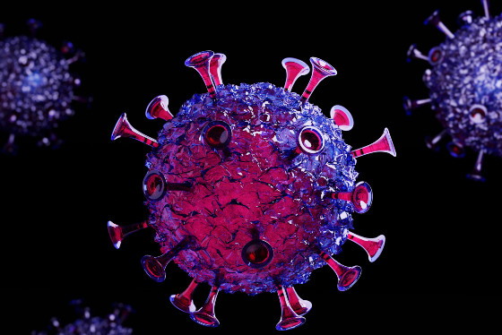 koronawirus, nowa odmiana koronawirusa