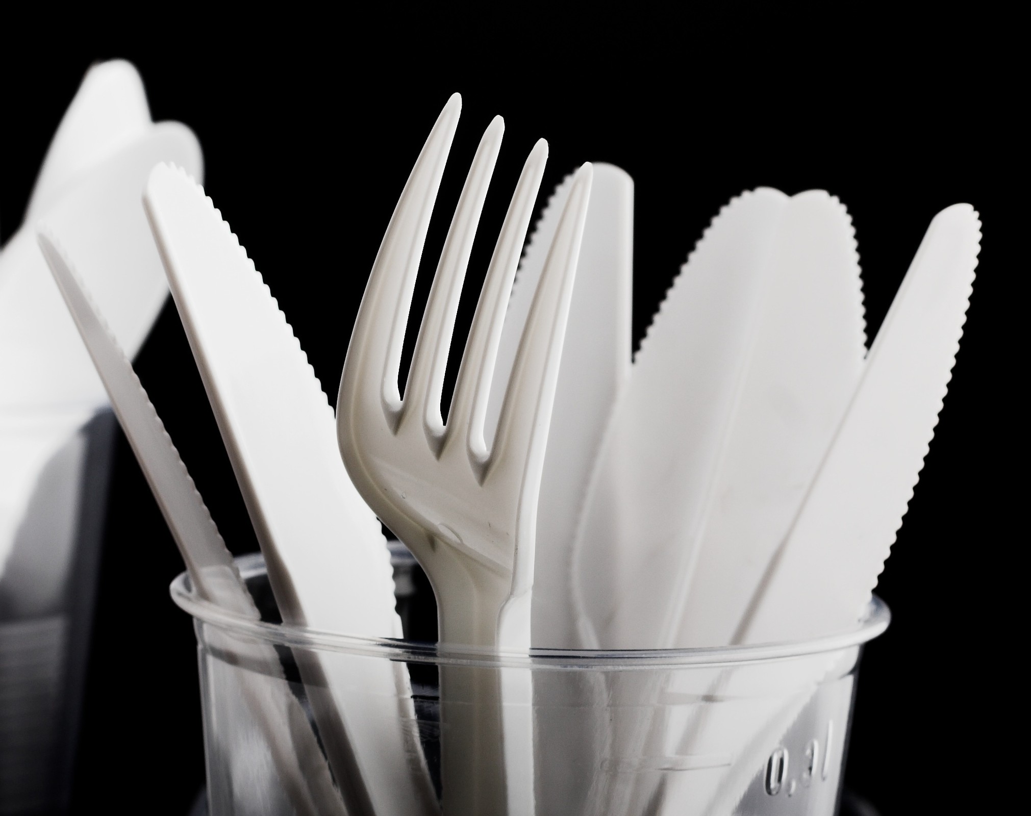 częściowy zakaz plastiku w UE