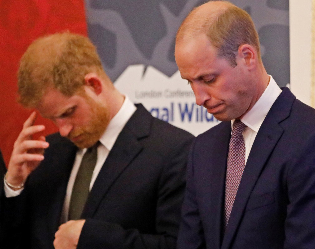Książę William, książę Harry