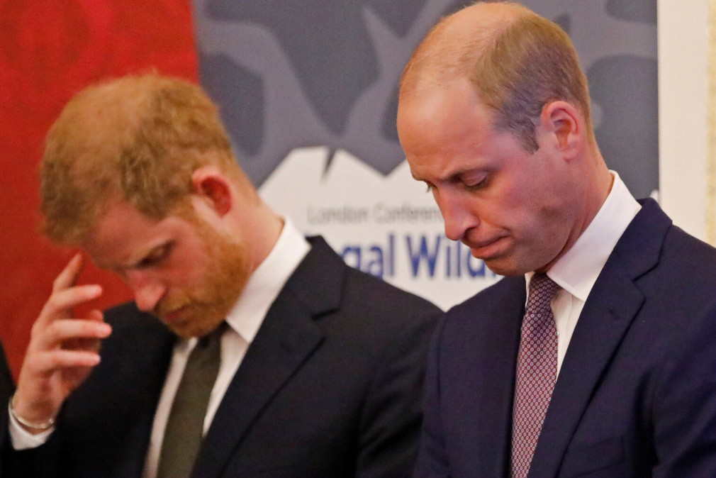Książę William, książę Harry