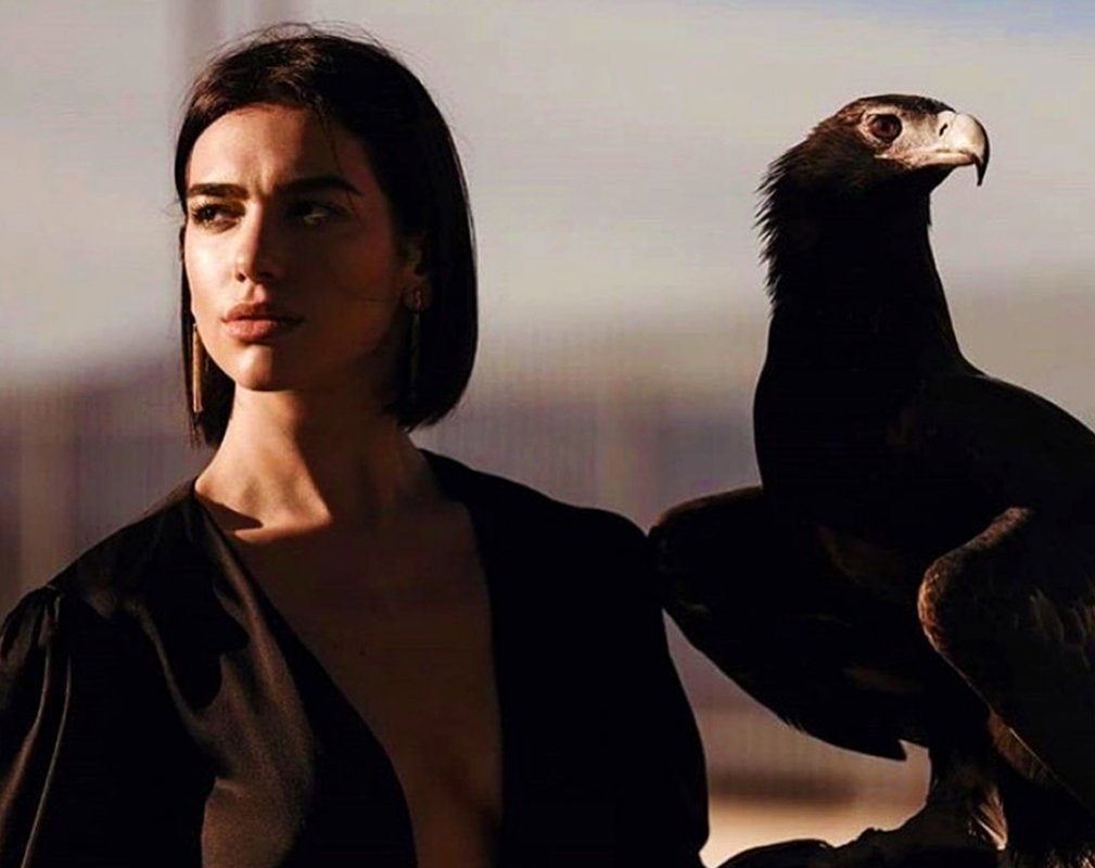 dualipa2