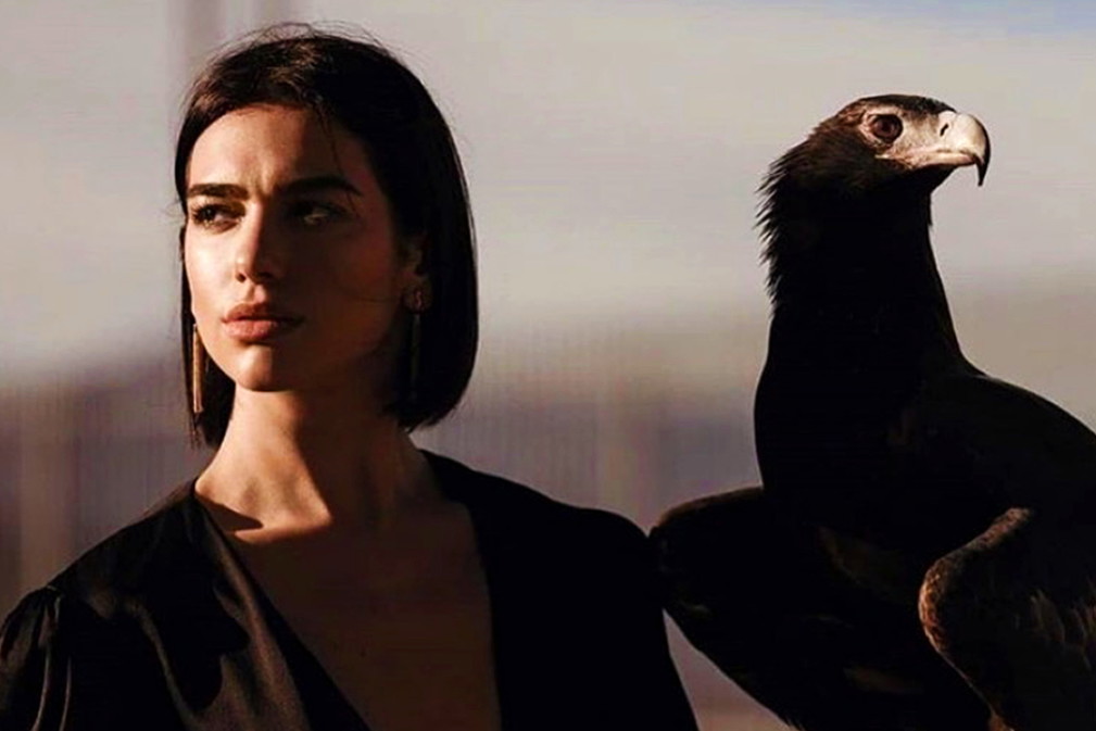 dualipa2