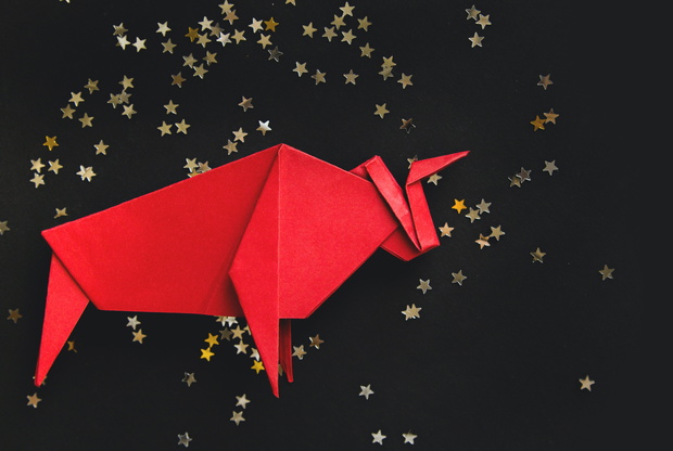 Chinese new year 2021 year of the ox , red. Bull on black background.