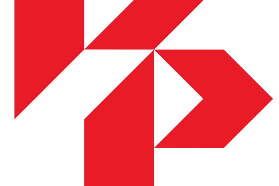 Paszporty Polityki 2020