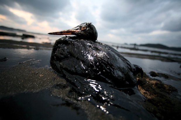 SOUTH KOREA OIL SPILL