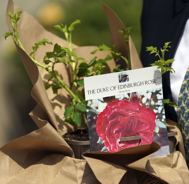 The Queen Receives A Rose Named In Memory Of The Duke Of Edinburgh