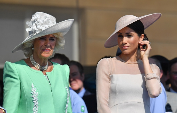 The Prince Of Wales' 70th Birthday Patronage Celebration