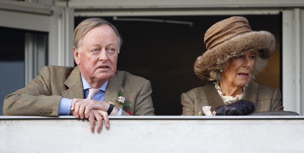 The Cheltenham Festival - Ladies Day