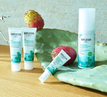 Nowe odkrycie w świecie pielęgnacji! Opuncja to naturalny sposób na intensywne nawilżenie