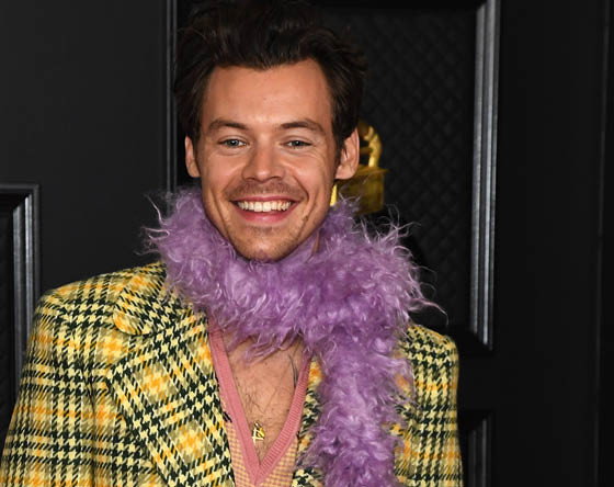 harry styles2