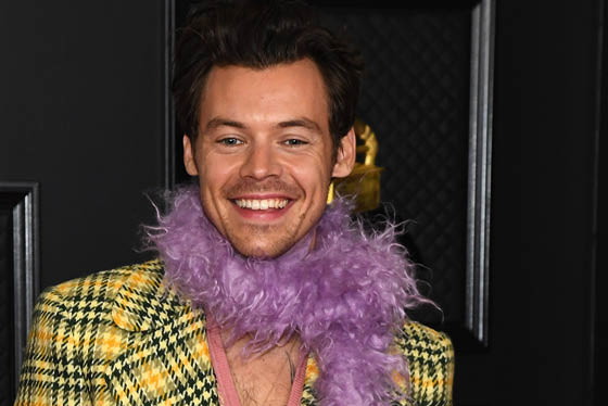 harry styles2