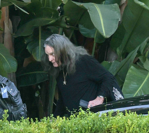 Ozzy Osbourne spotka? si? z przyjació?mi