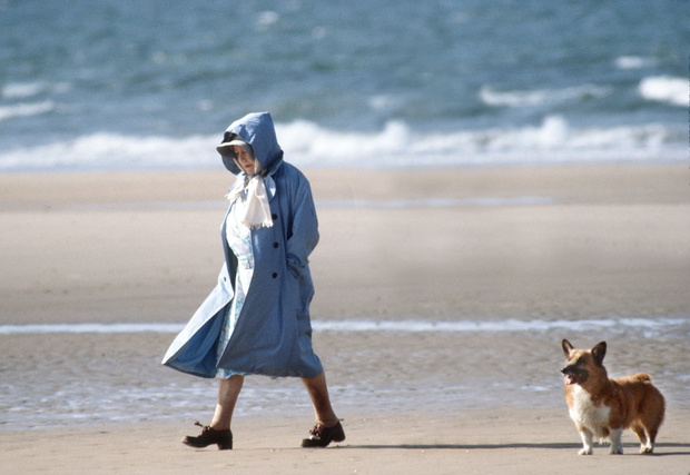 Queen Mother Corgi Beach