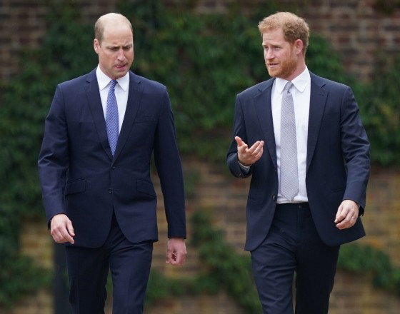 EN_01483233_0007 Książę Harry i książę William