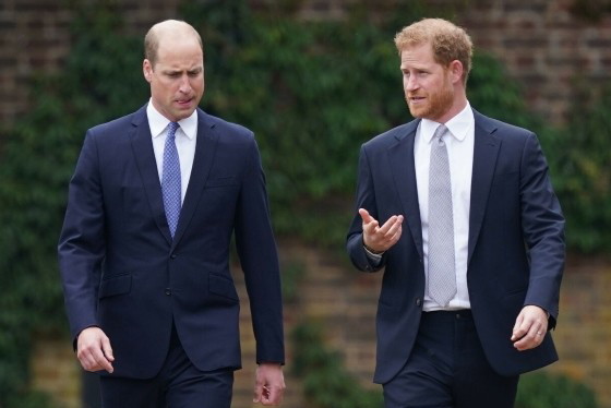 EN_01483233_0007 Książę Harry i książę William