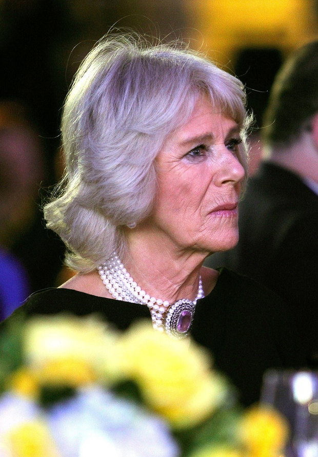 The Prince Of Wales And The Duchess Of Cornwall Visit Washington, DC - March 19, 2015
