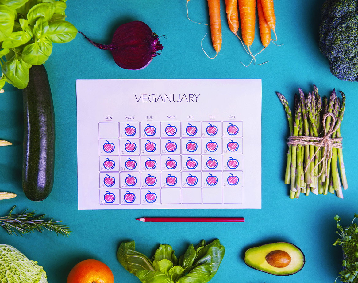 vege2