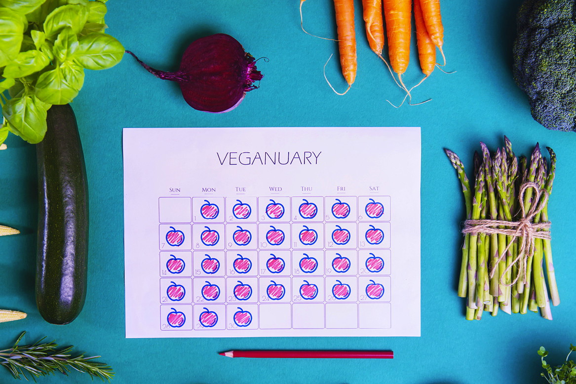 vege2