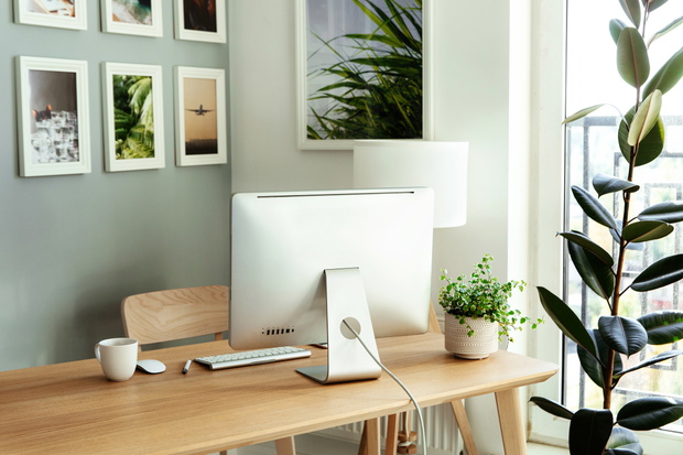 Work from home: cozy workplace for freelancer, programmer with computer, keyboard, mouse and plants