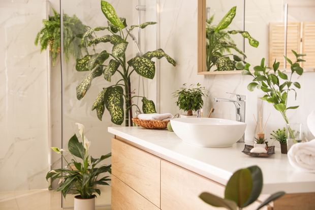 Beautiful green plants in elegant modern bathroom. Interior desi
