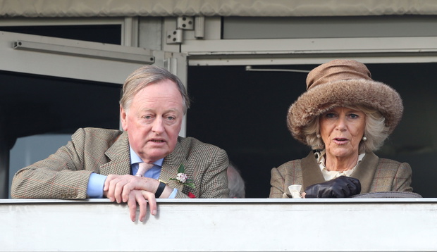 The Cheltenham Festival - Ladies Day