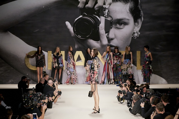 info@imaxtree