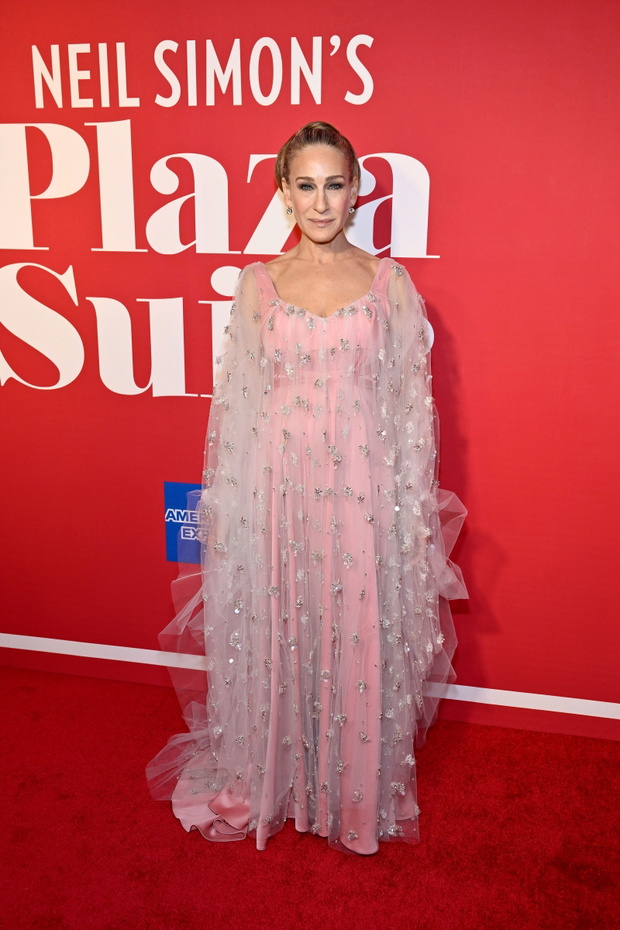 "Plaza Suite" Opening Night