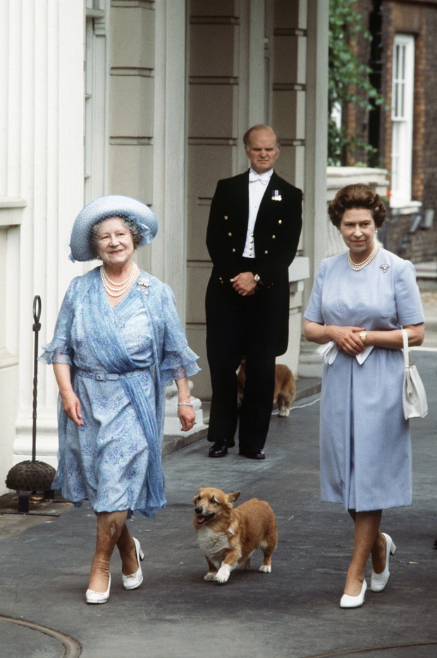 Queen Mother Queen Corgi