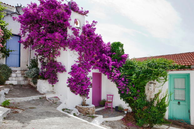 Alonissos, Sporades islands, Greece
