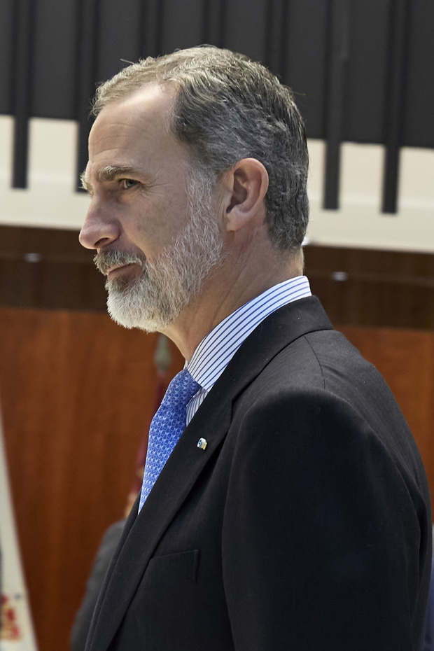 King Felipe Of Spain Attends An Official Lunch With Members of The Constitutional Court