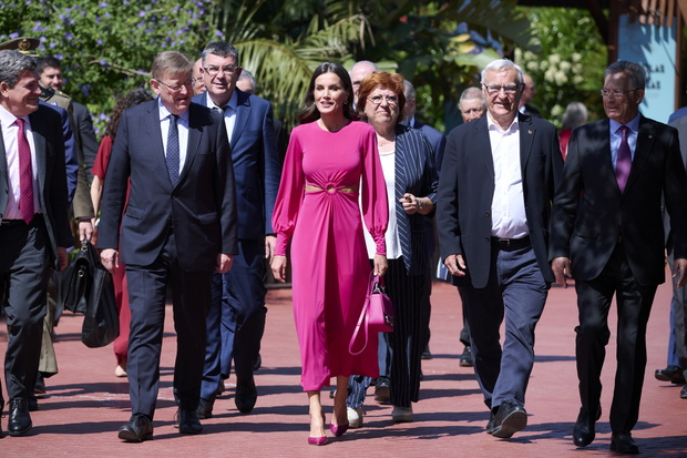 Queen Letizia Attends Attend Red Cross Fundraising Day