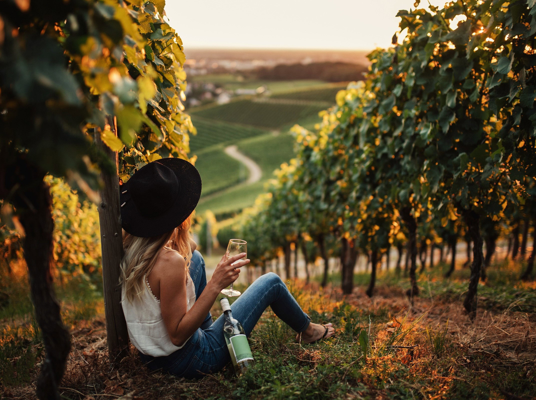 AdobeStock_3101488951