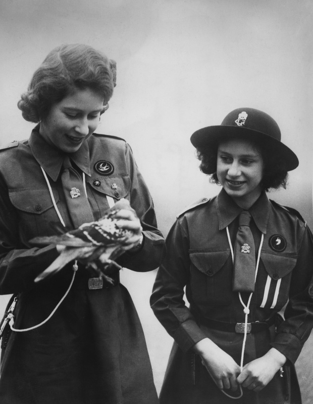 Princesses And Pigeon