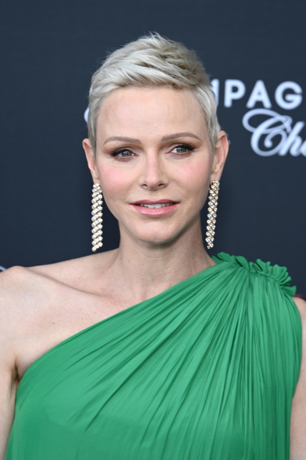 Opening Ceremony - 61st Monte Carlo TV Festival