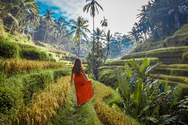 Young woman in red dress walking in rice fields Bali in Tegallalang. Rustic Ubud village landscape outside. Fashion style