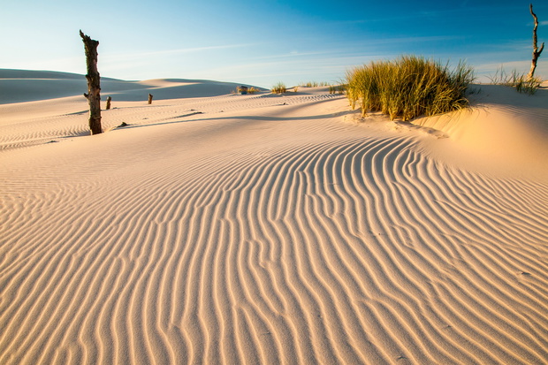 beautiful view of the coastal dunes