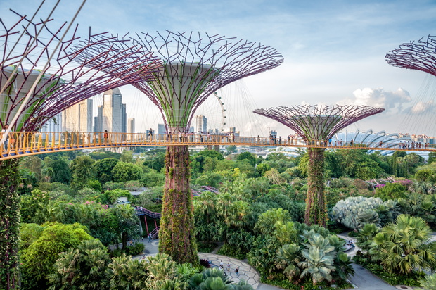Jardins de Singapour