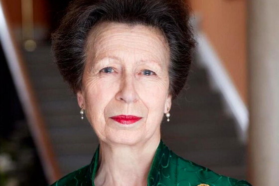 Księżniczka Anna wnętrza