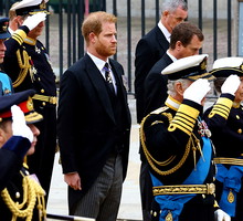 harry2